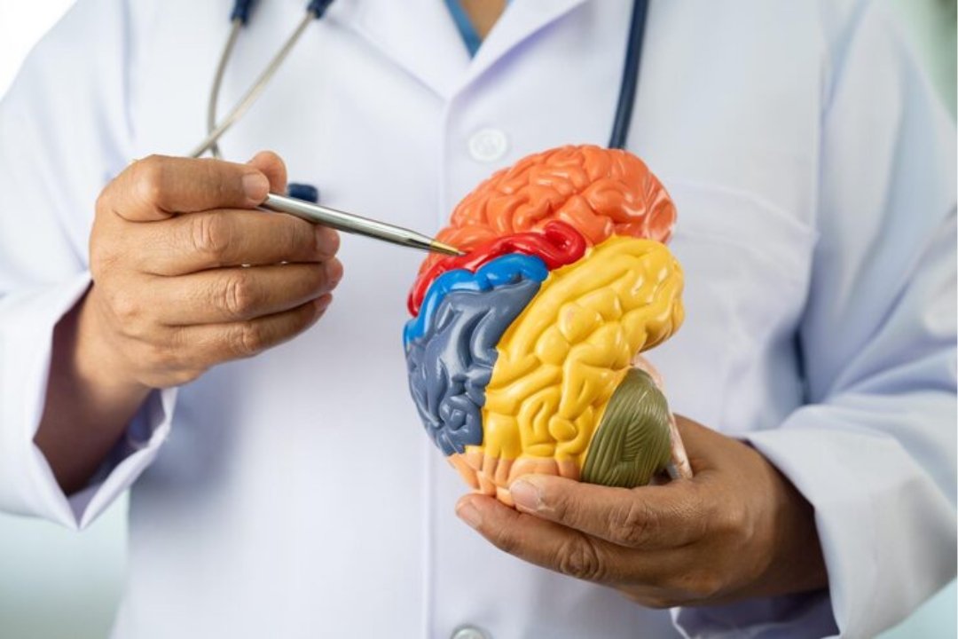 Neurovascular Disorders1